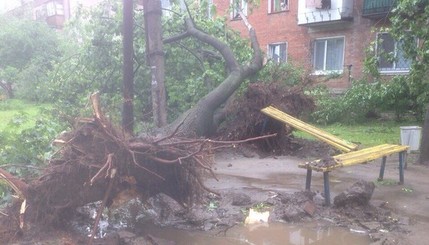 Ураган в Харькове повалил десятки деревьев и затопил улицы
