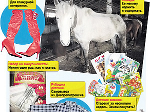 «Подарю лошадь. С доставкой на дом»