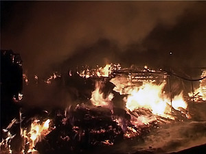На выходных в Запорожской области едва не сгорели дачный поселок, село и профилакторий