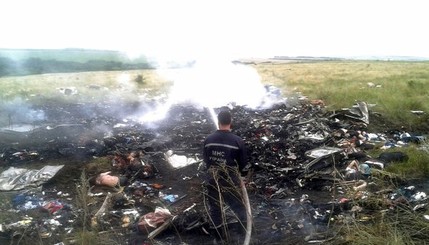 В Донецкой области упал малазийский самолет с сотнями пассажиров на борту