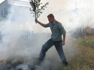 Зажечь в лесу костер стоит полсотни гривен 