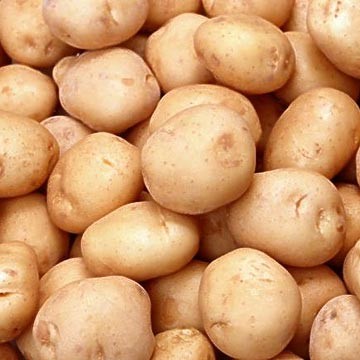 Украина поможет России картошкой