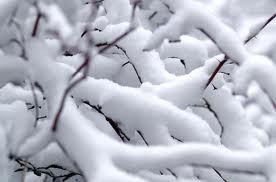 В октябре Украину занесет снегом