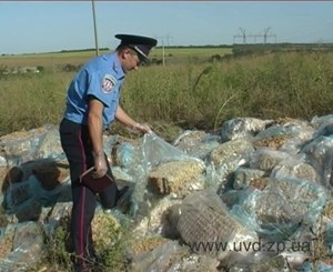 В Запорожье нашли 15 тонн бесхозного фарша 