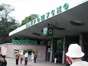Власти нашли деньги для киевского зоопарка