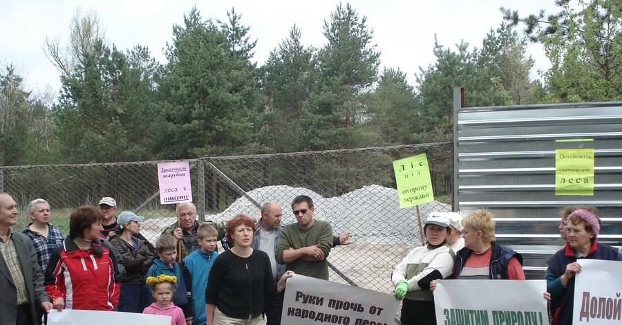 Сосновый лес распродают для VIP-персон