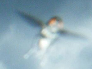 Англичанка сфотографировала в Германии то ли летящего херувима, то ли парящего в небе инопланетянина