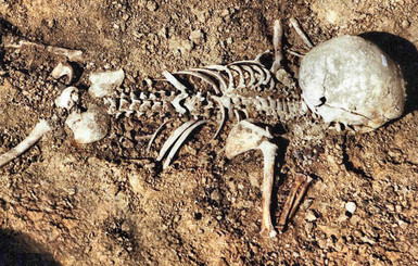 Киевлянин в своем гараже припрятал боевые снаряды и 20 мешков человеческих костей