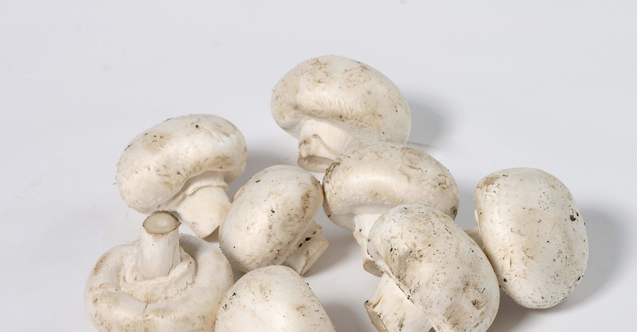Отравиться можно даже съедобными грибами