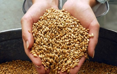 Украина прекратила экспорт зерна