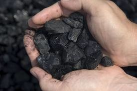 В Николаевской области хрупкая девушка-подросток украла полтонны угля