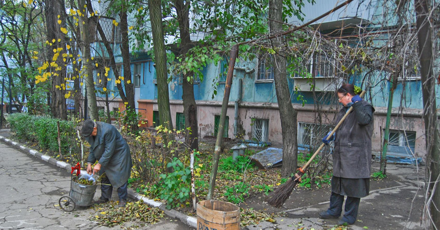Запорожью не хватает рук для уборки листвы