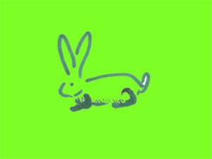 Понедельник, 1 ноября, - день Зеленого Кролика