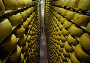 Сыр подешевеет на 20%