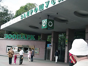 Попов пообещал, что киевский зоопарк не закроют