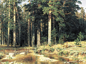 Представляем девятый альбом - Шишкин: Царь леса