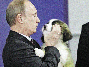 Придумай кличку для щенка Путина