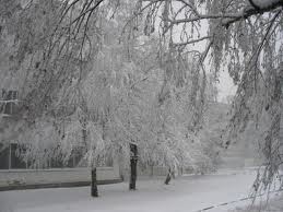 В Ровенской области сильный снегопад оставил без света 50 населенных пунктов