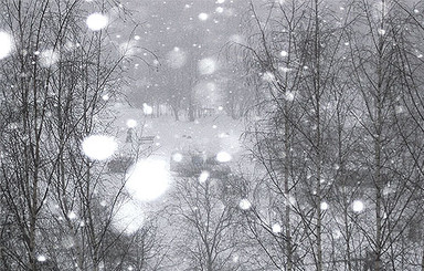 Снежная буря оставила Ровенскую область без света 