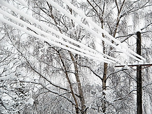 Снег обесточил почти двести украинских поселков