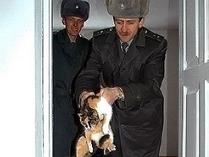 Военным увеличили зарплату