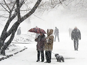 Завтра в Украине снег и метели