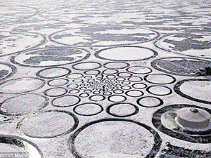 На льду Байкала замечены тысячи странных кругов
