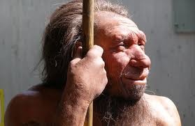 В Испании нашли останки неандертальцев, съеденных каннибалами