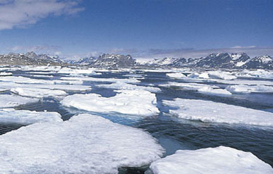 В Охотском море во льдах застряли более десяти судов