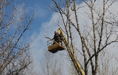 В Кременчуге спасатели снимали с дерева … мужчину