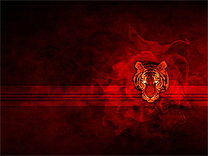 Вторник, 11 января, - День Красного Тигра