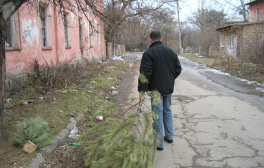 Новогодние елки крымчан «умирают» на помойках 