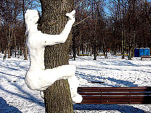 В Харькове появились снежные дереволазы