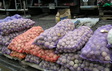 В Харькове появилась картошка по 11,25 грн за кило