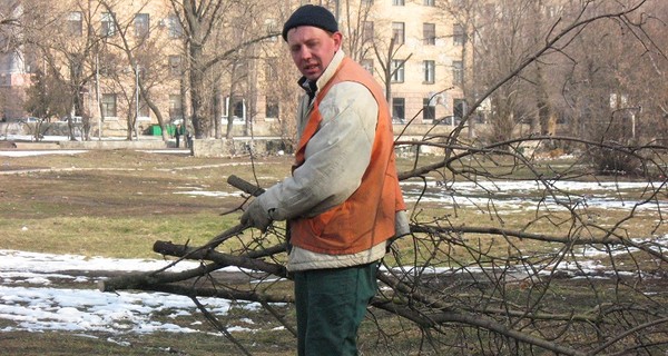 Харьков рискует остаться без деревьев?