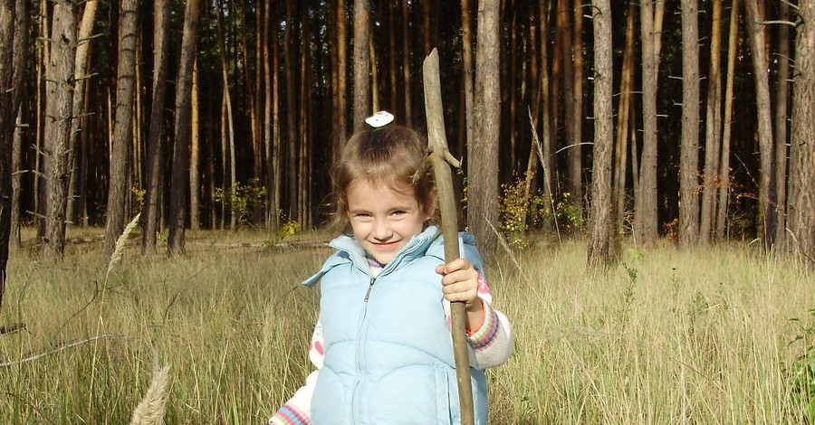 Донбасс засадят лесами