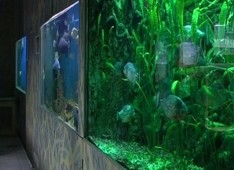 МЧСники закрыли Севастопольский морской Аквариум