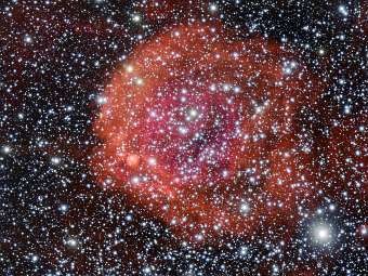 Астрономы сфотографировали в Космосе гигантскую розу