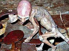 В Мексике нашли «крошку-инопланетянина»