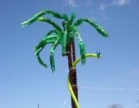 Польза от ПЭТ тары: красивая пальма