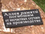 В Крыму высадили аллею памяти тех, кто погиб на работе