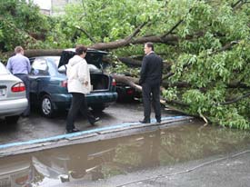 Ураган ломал деревья и крушил автомобили