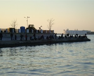 В Севастополе чаек-убийц с пляжа Хрустальный выжили рыбаки-живодеры