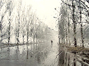 В Киеве завтра дожди