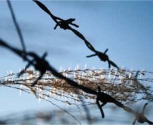 В крымской фирме у людей отбирают паспорта, морят голодом и заставляют бесплатно работать