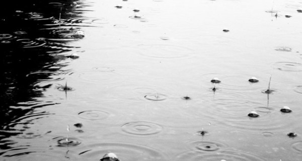 Завтра в Донецке будет дождливо