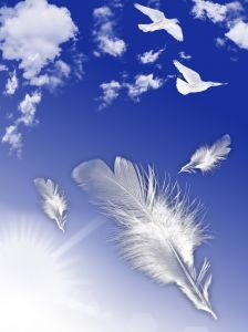 В Севастополе пройдет необычный салют из птиц