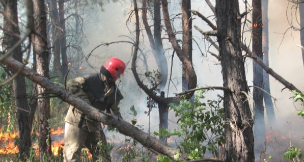 Леса окружат рвами и обнесут колючей проволокой
