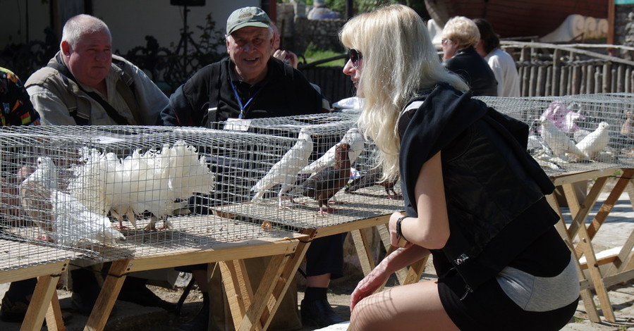 В Севастополе устроили салют из голубей