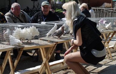 В Севастополе устроили салют из голубей